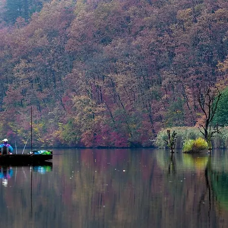 Orfűi Gomba Сasa de vacaciones *