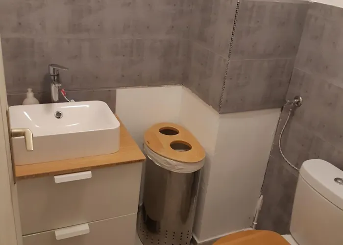 Orfui Gomba Vendeghaz *