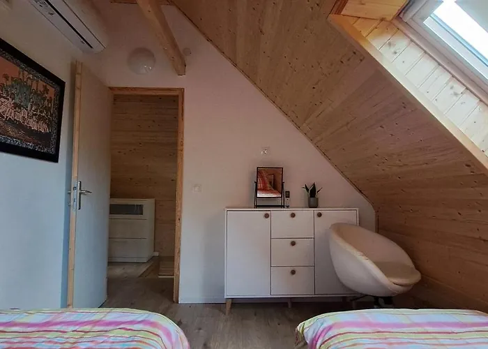 Orfui Gomba Vendeghaz *