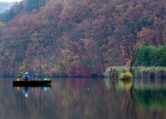 Orfui Gomba Vendeghaz Dom wakacyjny *